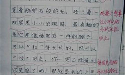 玩中的快乐作文_玩中的快乐作文600字