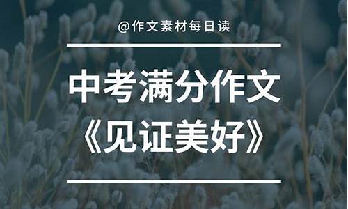 见证作文800字高中_见证作文800字高